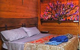 Chalet Nel Bosco - Tenuta Bocchineri